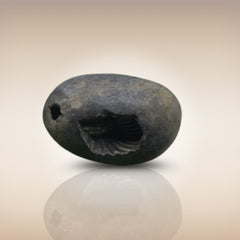 Shri Laxmi Narayan Shaligram - SH047