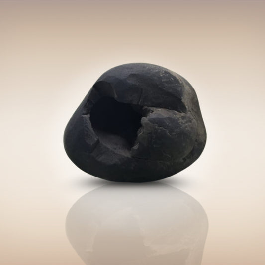 Shri Laxmi Narayan Shaligram - SH050