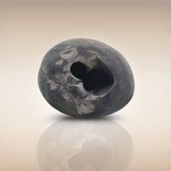 Shri Laxmi Narayan Shaligram - SH052