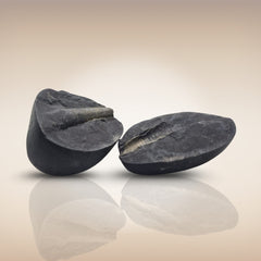 Shri Laxmi Narayan Shaligram - SH059