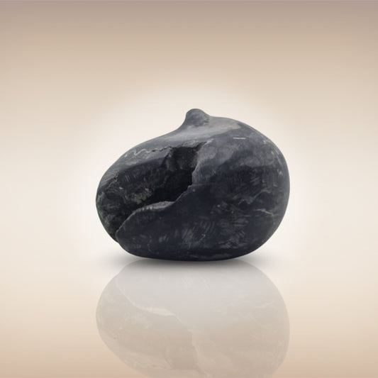 Shri Laxmi Narayan Shaligram - SH063