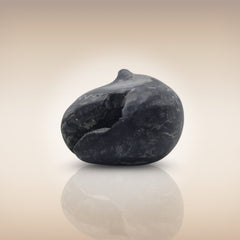 Shri Laxmi Narayan Shaligram - SH063