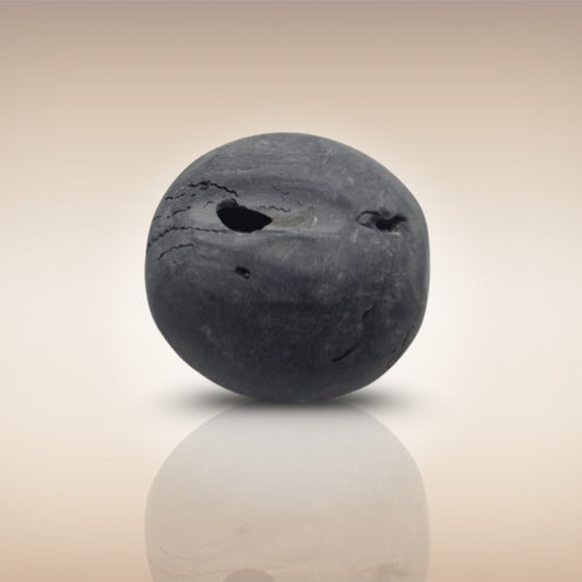 Shri Laxmi Narayan Shaligram - SH064