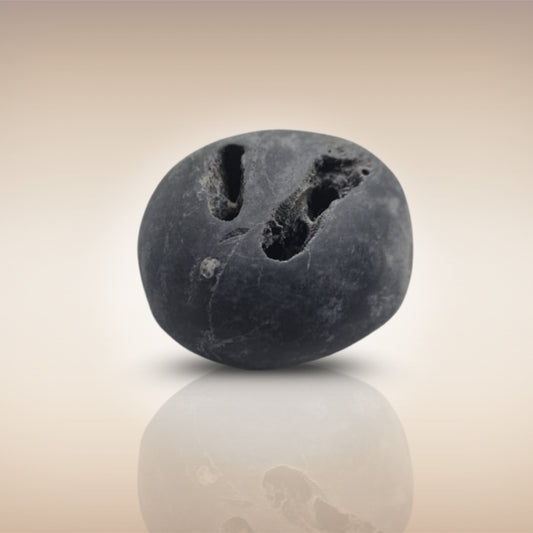 Shri Laxmi Narayan Shaligram - SH068