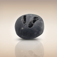 Shri Laxmi Narayan Shaligram - SH068