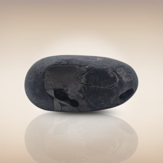 Shri Laxmi Narayan Shaligram - SH073