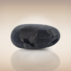 Shri Laxmi Narayan Shaligram - SH073