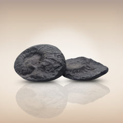 Shri Laxmi Narayan Shaligram - SH075