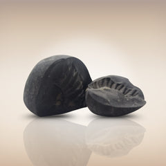 Shri Laxmi Narayan Shaligram - SH080