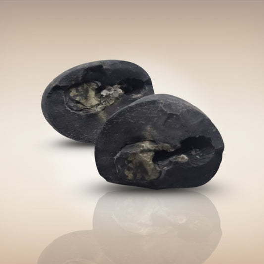 Shri Laxmi Narayan Shaligram - SH119