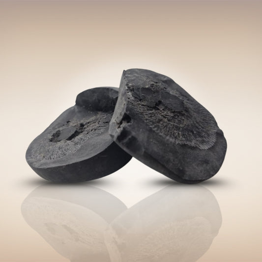 Shri Laxmi Narayan Shaligram - SH120