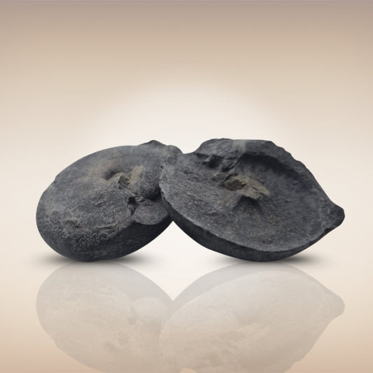 Shri Laxmi Narayan Shaligram - SH122