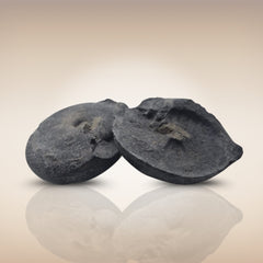 Shri Laxmi Narayan Shaligram - SH122