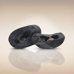 Shri Laxmi Narayan Shaligram - SH123