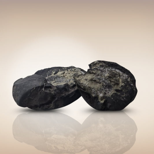 Shri Laxmi Narayan Shaligram - SH131