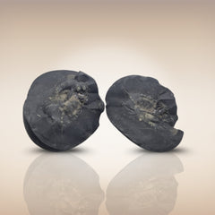 Shri Laxmi Narayan Shaligram - SH136