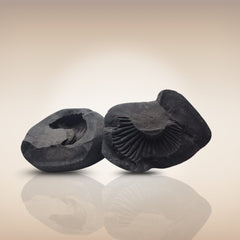 Shri Laxmi Narayan Shaligram - SH137
