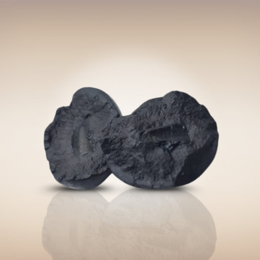 Shri Laxmi Narayan Shaligram - SH144