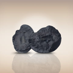 Shri Laxmi Narayan Shaligram - SH144