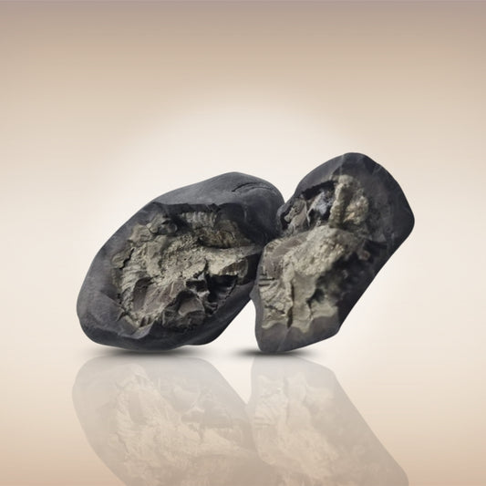 Shri Laxmi Narayan Shaligram - SH145