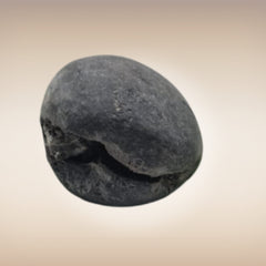 Shri Laxmi Narayan Shaligram - SH009