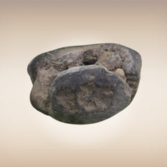 Shri Laxmi Narayan Shaligram - SH013
