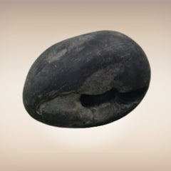 Shri Laxmi Narayan Shaligram - SH016