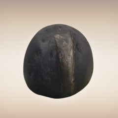 Shri Laxmi Narayan Shaligram - SH022