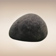 Shri Laxmi Narayan Shaligram - SH023