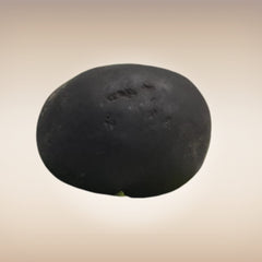 Shri Laxmi Narayan Shaligram - SH028