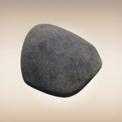 Shri Laxmi Narayan Shaligram - SH030