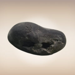 Shri Laxmi Narayan Shaligram - SH032
