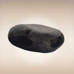 Shri Laxmi Narayan Shaligram - SH033