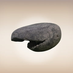 Shri Laxmi Narayan Shaligram - SH037