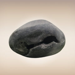 Shri Laxmi Narayan Shaligram - SH042