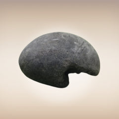 Shri Laxmi Narayan Shaligram - SH046