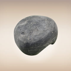 Shri Laxmi Narayan Shaligram - SH051