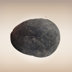 Shri Laxmi Narayan Shaligram - SH054