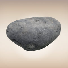 Shri Laxmi Narayan Shaligram - SH055