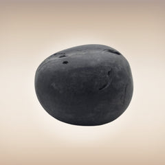 Shri Laxmi Narayan Shaligram - SH064