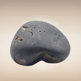 Shri Laxmi Narayan Shaligram - SH069