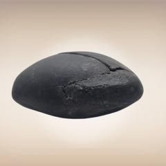 Shri Laxmi Narayan Shaligram - SH076