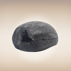 Shri Laxmi Narayan Shaligram - SH088