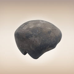 Shri Laxmi Narayan Shaligram - SH094