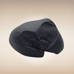 Shri Laxmi Narayan Shaligram - SH096