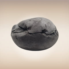 Shri Laxmi Narayan Shaligram - SH098