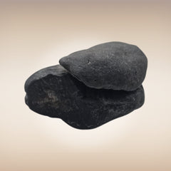 Shri Laxmi Narayan Shaligram - SH105