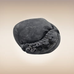 Shri Laxmi Narayan Shaligram - SH106