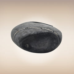 Shri Laxmi Narayan Shaligram - SH112
