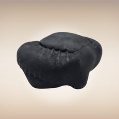 Shri Laxmi Narayan Shaligram - SH115